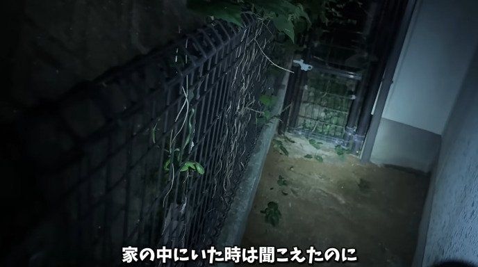 裏庭の柵