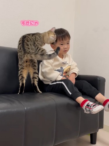 男の子にスリスリする猫