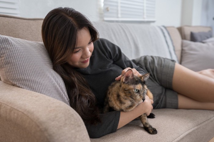 女性とべっこう猫