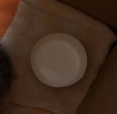 皿に入れられたミルク