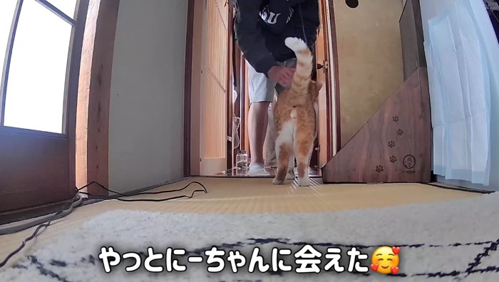 にーちゃんに会えた