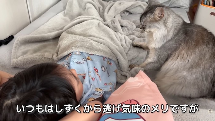 テロップ「いつもはしずくから~」