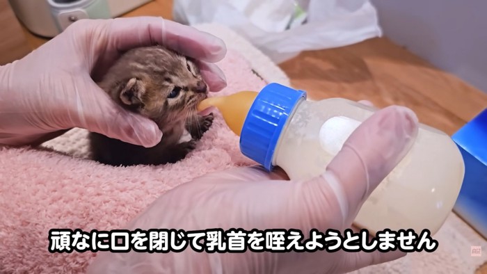 テロップ「頑なに口を閉じて~」