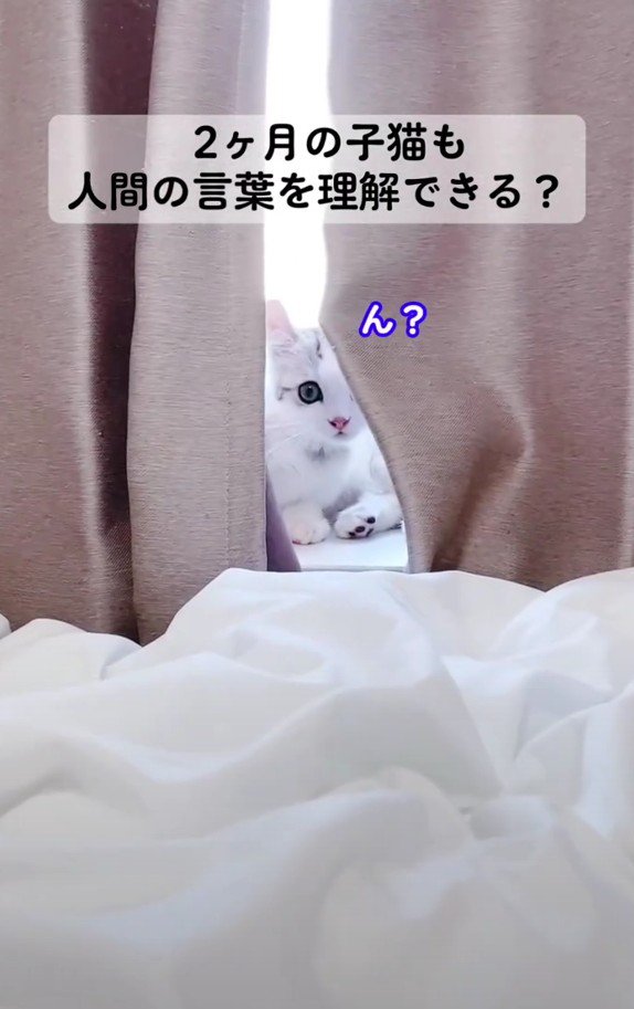 顔を上げるレビンちゃん