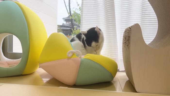 つぶれたベッドの上に乗るホルンくん