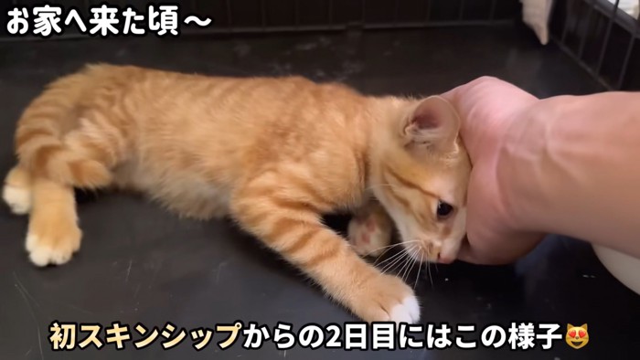 テロップ「初スキンシップから~」