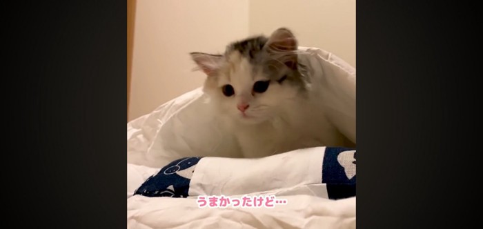 うまかったけど…