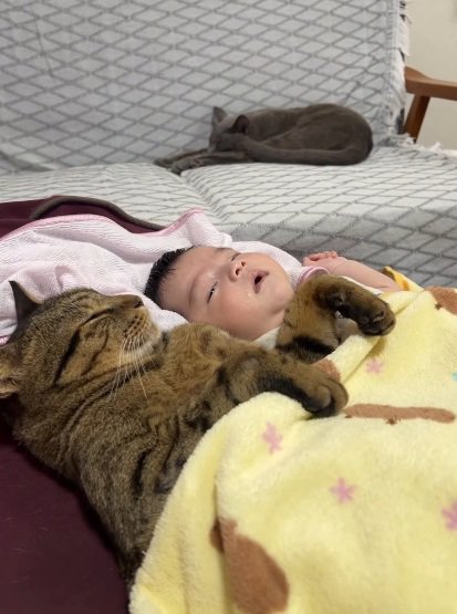 赤ちゃんと一緒の布団で寝る猫