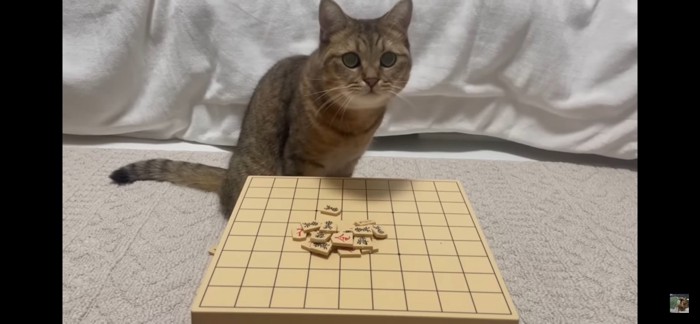 将棋崩し