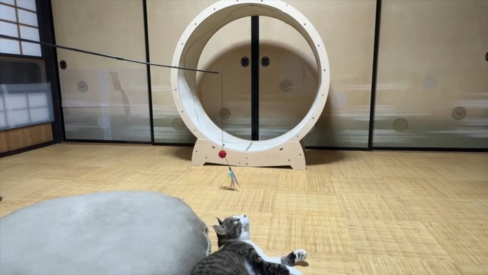 上を見て