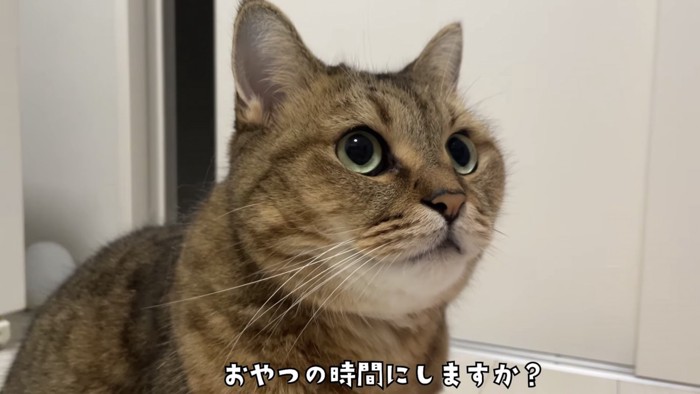 「おやつの時間にしますか?」のテロップ写真1