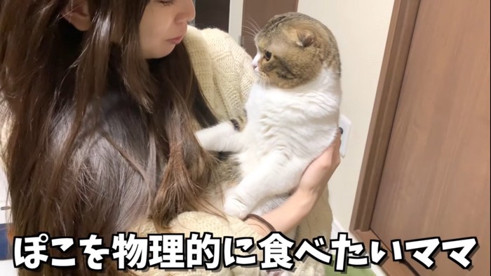 抱っこされる猫