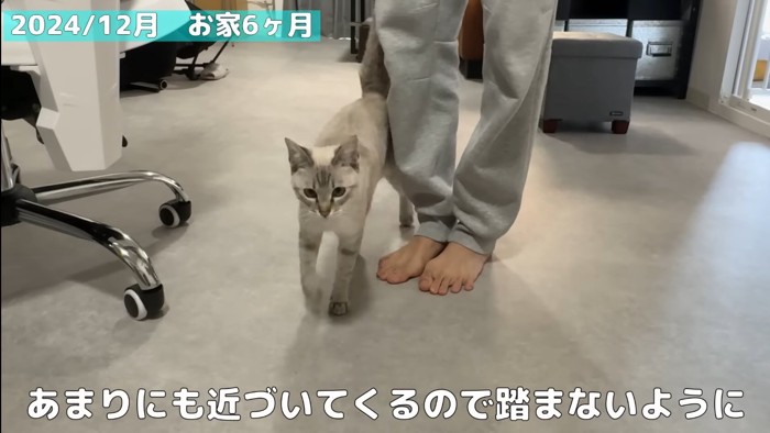 お家6か月
