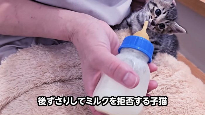 テロップ「後ずさりして~」