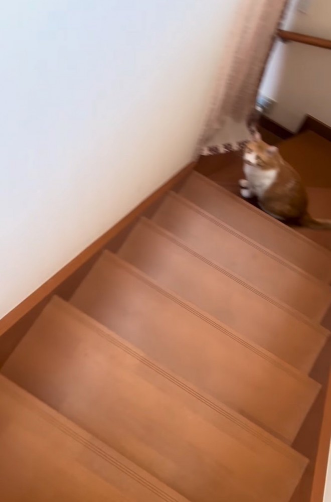 ゆっくり上へ昇っていく