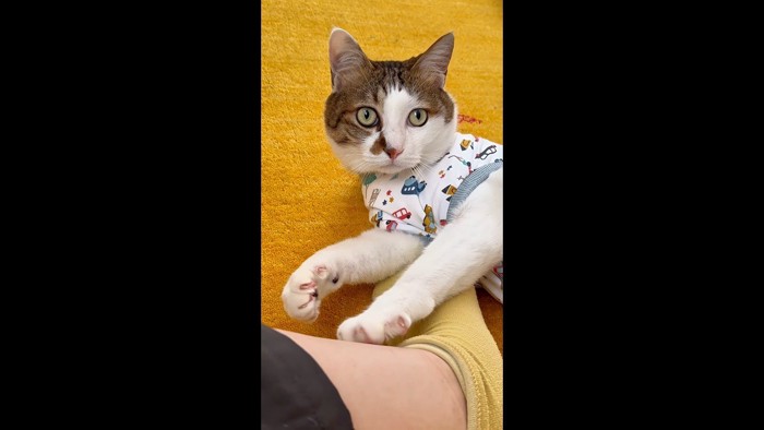 ちょっとアップ
