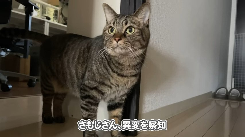 異変を察知