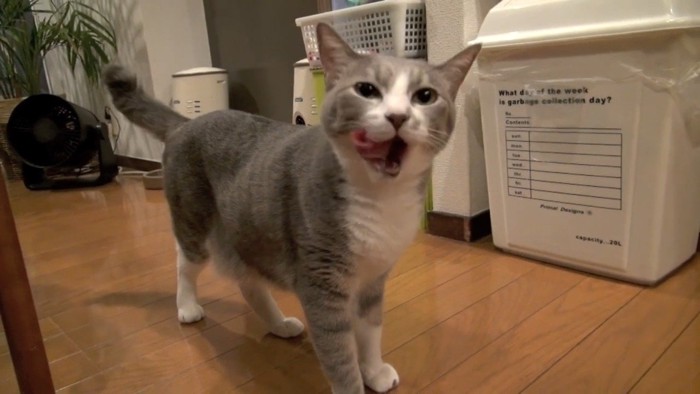 ぺろり