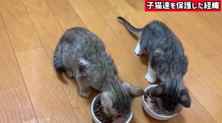 食事中