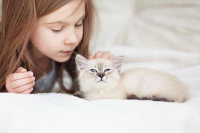 飼い主さんに寄り添って座る猫