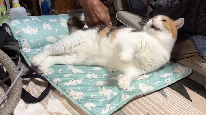 仰け反り