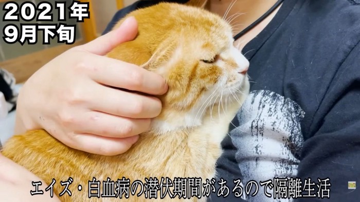 テロップ「エイズ・白血病の~」