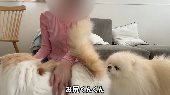 お尻くんくん