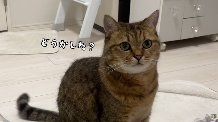 テロップ「どうかした？」