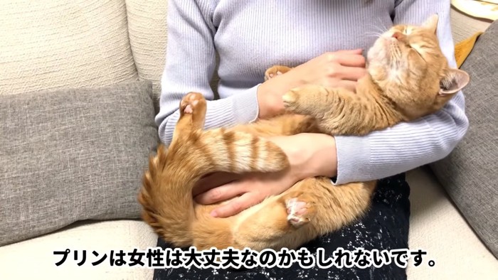 目を閉じる猫