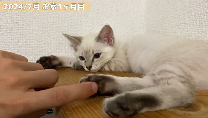 お家1か月目