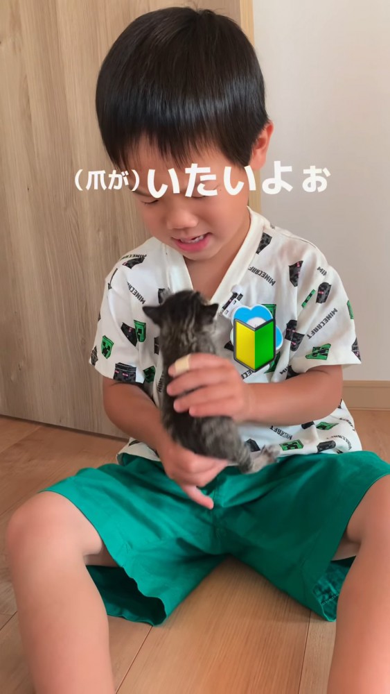 子猫を抱っこする男の子