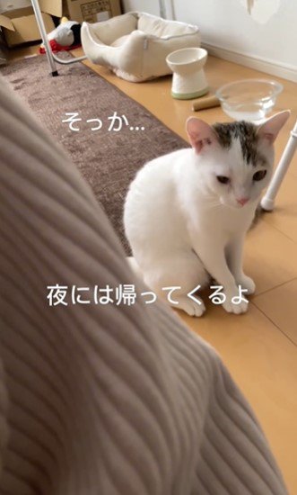 お兄ちゃん不在にしょんぼり顔