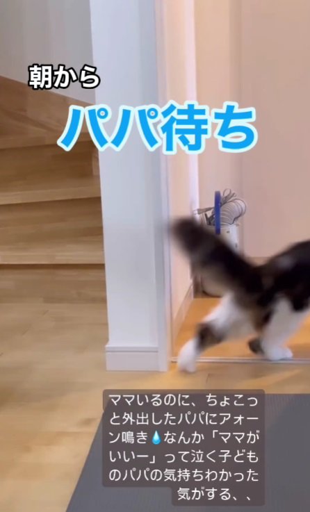 扉が大きく開く