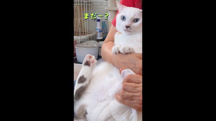まだー？