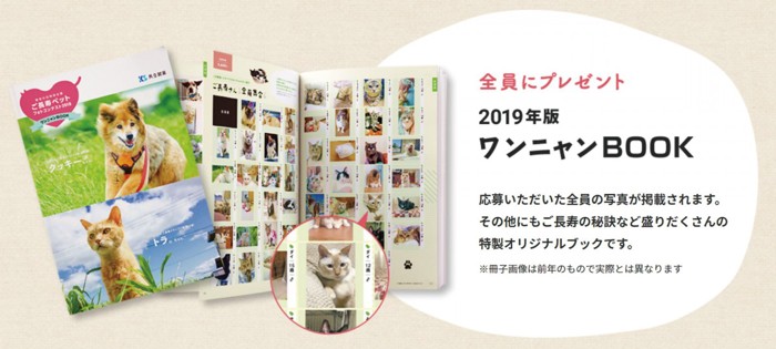 ワンニャンBOOKイメージ