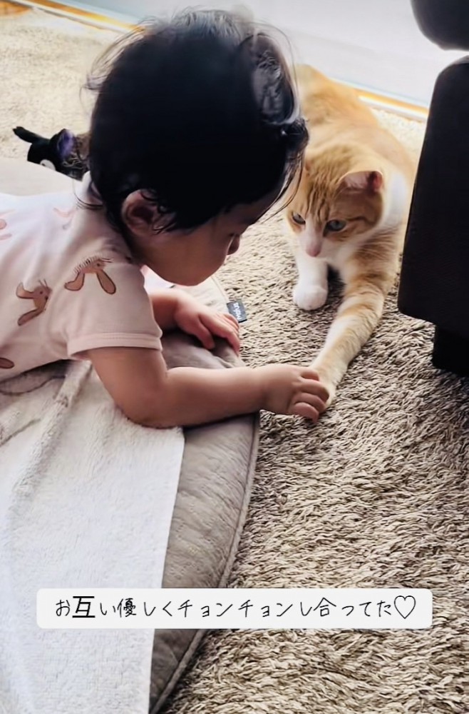 茶白猫の前足に触る赤ちゃん
