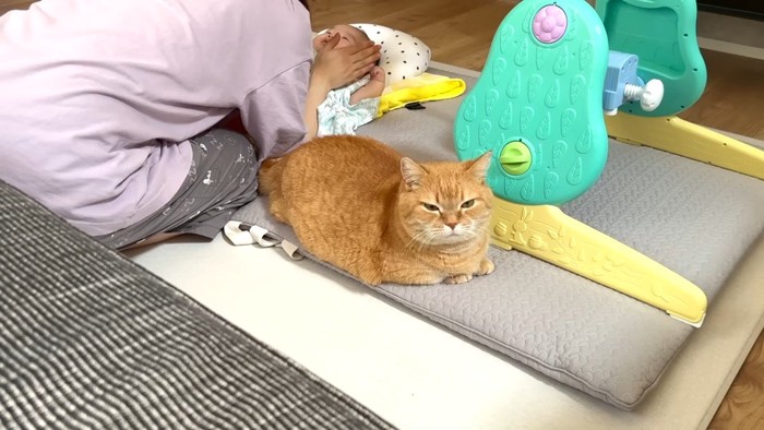 前を見据えた姿