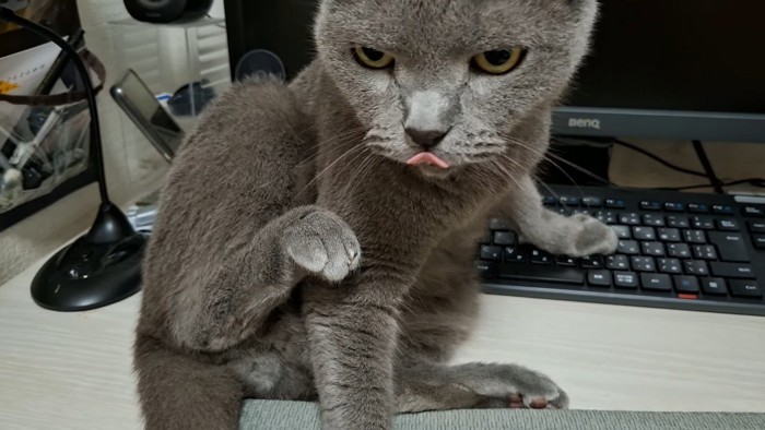 舌を出して
