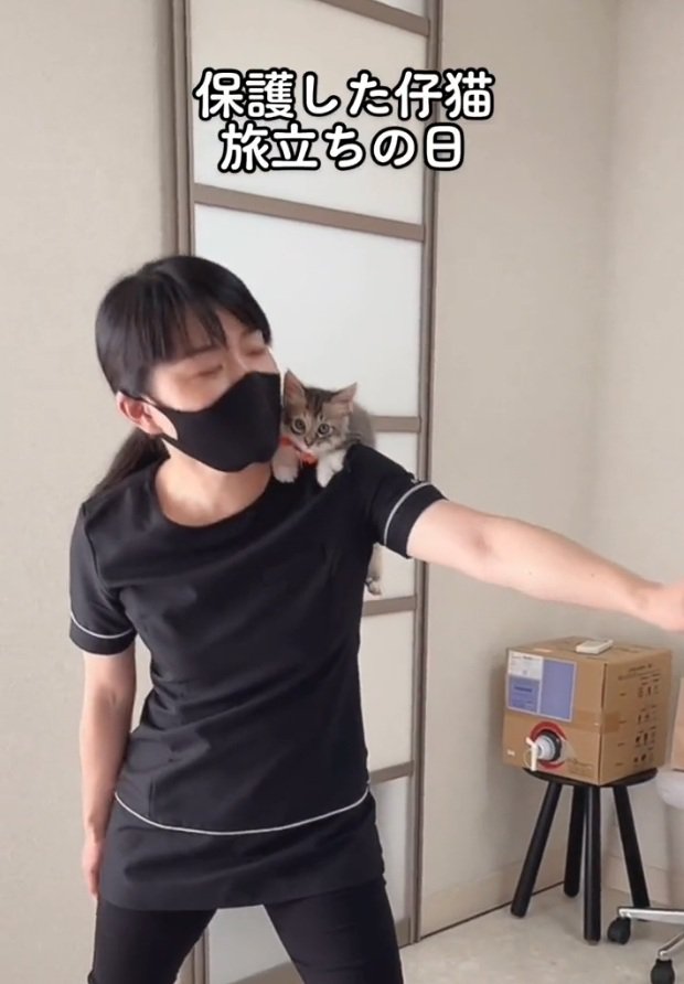 肩に掴まる猫ちゃん