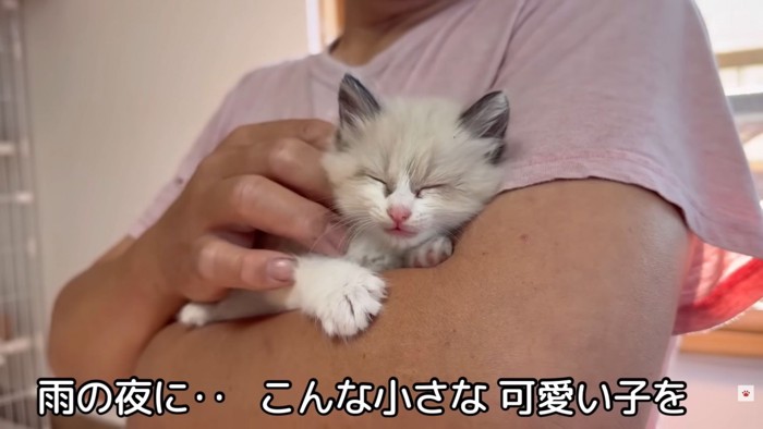 テロップ「雨の夜に..~」