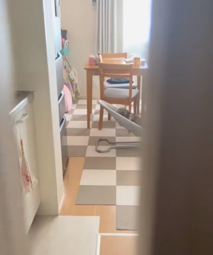 リビングの扉