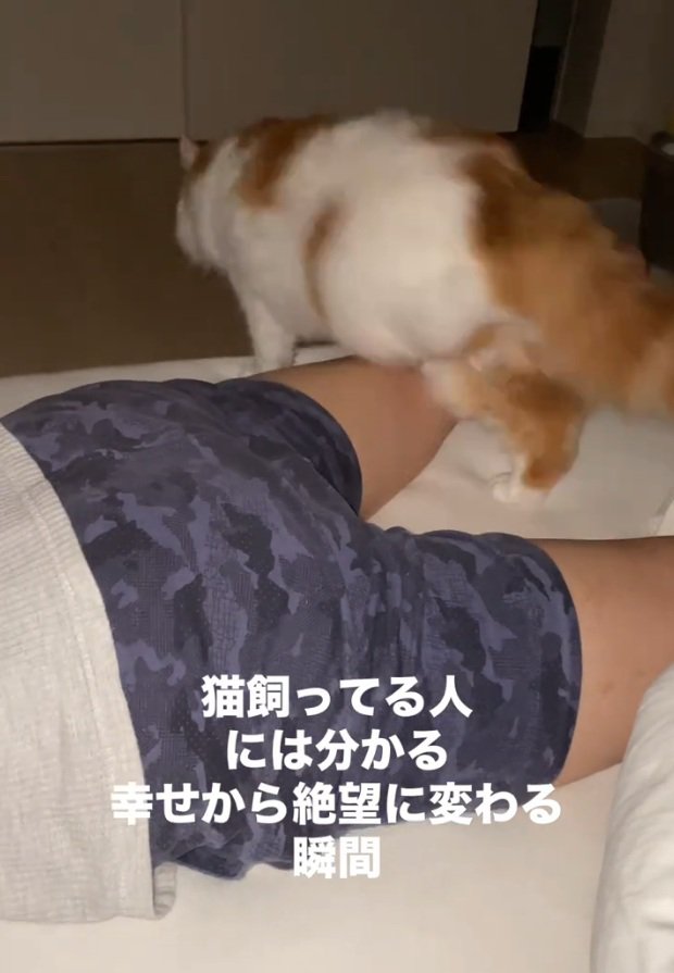 ベッドを下りようとするポテくん