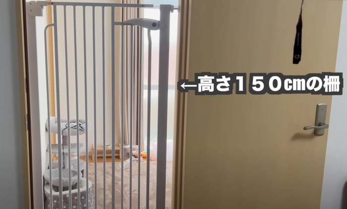 高さ150㎝の柵