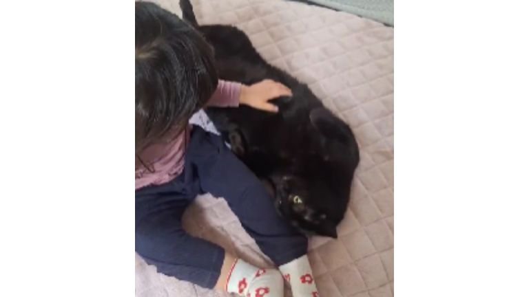 女の子と黒猫