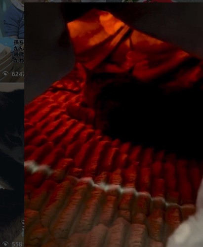 こたつに入っている猫