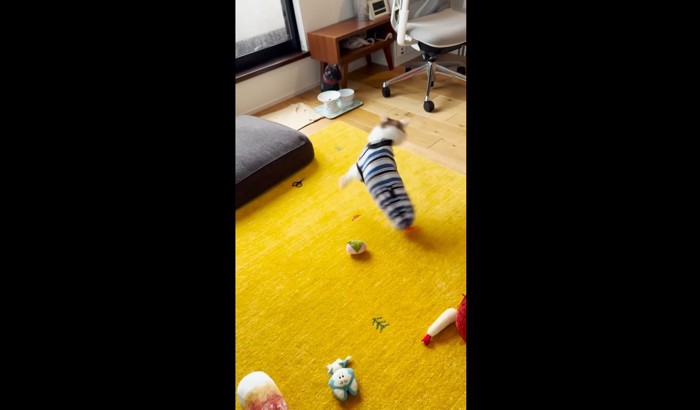 右に飛んで