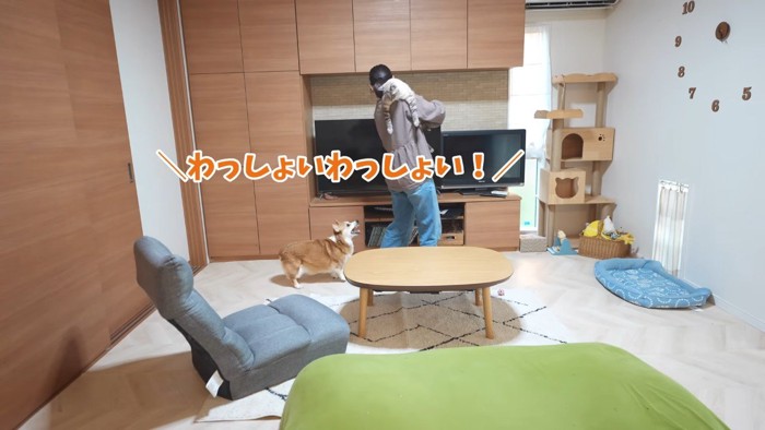 わっしょいわっしょい!