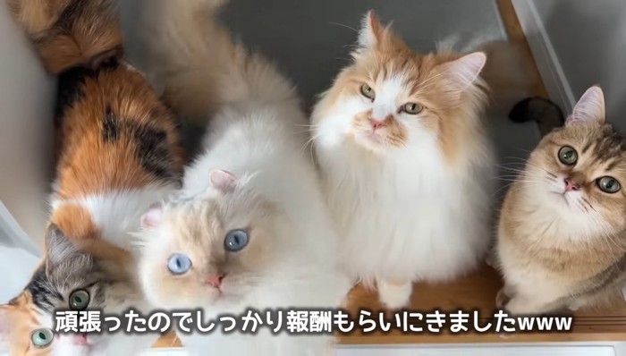 報酬をもらいに