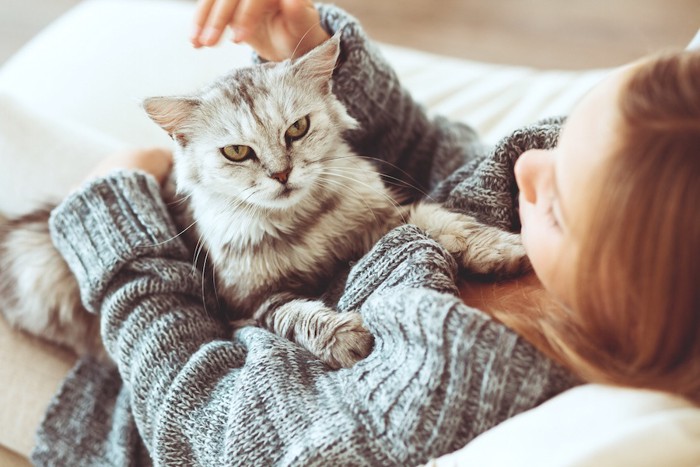 女性の上でくつろぐ猫