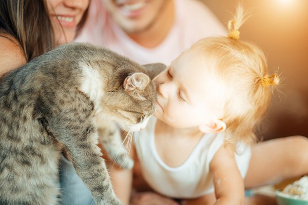 子供にキスをされる猫